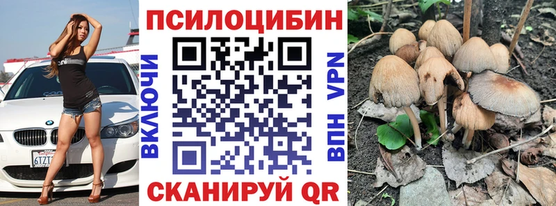 Псилоцибиновые грибы прущие грибы  где можно купить наркотик  Сибай 